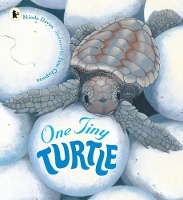 Book Cover for One Tiny Turtle by Nicola Davies