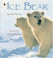 Book Cover for Ice Bear by Nicola Davies