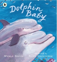 Book Cover for Dolphin Baby by Nicola Davies