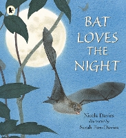 Book Cover for Bat Loves the Night by Nicola Davies