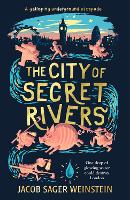 Book Cover for The City of Secret Rivers by Jacob Sager Weinstein