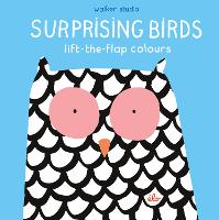 Book Cover for Surprising Birds: Lift-the-Flap Colours by élo