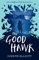 Book Cover for The Good Hawk (Shadow Skye, Book One) by Joseph Elliott