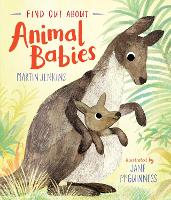 Book Cover for Animal Babies by Martin Jenkins