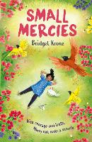 Book Cover for Small Mercies by Bridget Krone