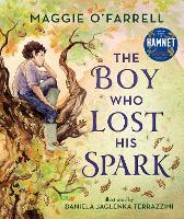 Book Cover for The Boy Who Lost His Spark by Maggie O'Farrell