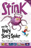 Book Cover for Stink and the Hairy Scary Spider by Megan McDonald
