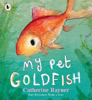 Book Cover for My Pet Goldfish by Catherine Rayner