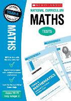 Book Cover for Maths Test - Year 6 by Paul Hollin