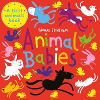 Book Cover for Animal Babies by Thomas Flintham