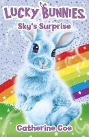 Book Cover for Sky's Surprise by Catherine Coe