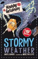 Book Cover for Stormy Weather by Anita Ganeri