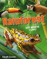 Book Cover for Rainforest by Sarah Levete
