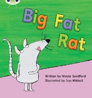 Book Cover for Bug Club Phonics - Phase 2 Unit 5: Big Fat Rat by Nicola Sandford