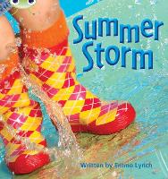 Book Cover for Bug Club Phonics - Phase 3 Unit 11: Summer Storm by Emma Lynch