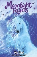 Book Cover for Moonlight Riders: Sea Foal by Linda Chapman