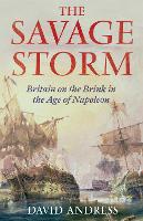 Book Cover for The Savage Storm by David Andress