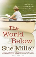 Book Cover for The World Below by Sue Miller