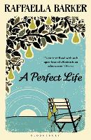 Book Cover for A Perfect Life by Raffaella Barker