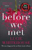 Book Cover for Before We Met by Lucie Whitehouse