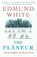 Book Cover for The Flaneur by Edmund White