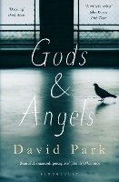 Book Cover for Gods and Angels by David Park