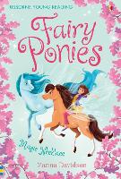 Book Cover for Fairy Ponies Magic Necklace by Zanna Davidson