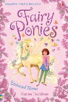 Book Cover for Fairy Ponies Enchanted Mirror by Susanna Davidson