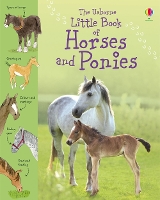 Book Cover for The Usborne Little Book of Horses and Ponies by Sarah Khan, Stephen Lambert, Keith Furnival, Kirsteen Rogers