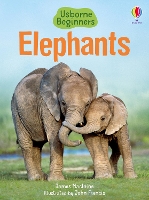 Book Cover for Elephants by James Maclaine