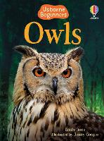 Book Cover for Owls by Emily Bone