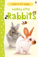 Book Cover for Looking after Rabbits by Fiona Patchett