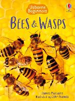 Book Cover for Bees and Wasps by James Maclaine