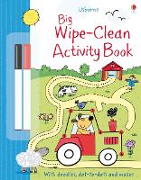 Book Cover for Big Wipe Clean Activity Book by Sam Taplin