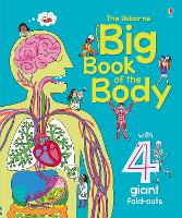 Book Cover for The Usborne Big Book of the Body by Minna Lacey