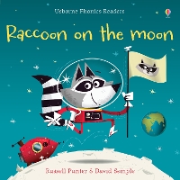 Book Cover for Raccoon on the Moon by Russell Punter