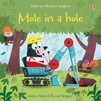 Book Cover for Mole in a Hole by Lesley Sims