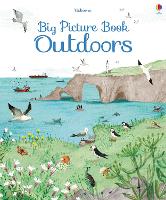 Book Cover for Big Picture Book Outdoors by Minna Lacey