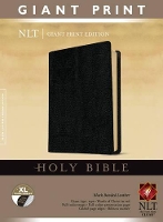 Book Cover for NLT Holy Bible, Giant Print, Black, Indexed by Tyndale