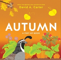 Book Cover for Autumn by David Carter