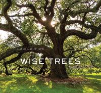 Book Cover for Wise Trees by Diane Cook, Len Jenshel, Verlyn Klinkenborg