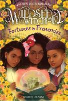 Book Cover for Fortunes & Frenemies (Wildseed Witch Book 3) by Marti Dumas