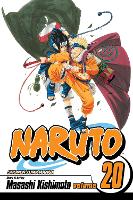 Book Cover for Naruto, Vol. 20 by Masashi Kishimoto