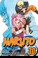 Book Cover for Naruto, Vol. 30 by Masashi Kishimoto