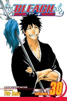 Book Cover for Bleach, Vol. 30 by Tite Kubo