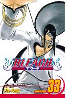 Book Cover for Bleach, Vol. 33 by Tite Kubo