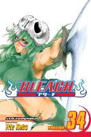 Book Cover for Bleach, Vol. 34 by Tite Kubo