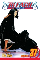 Book Cover for Bleach, Vol. 37 by Tite Kubo