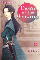 Book Cover for Dawn of the Arcana, Vol. 11 by Rei Toma