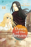 Book Cover for Dawn of the Arcana, Vol. 12 by Rei Toma